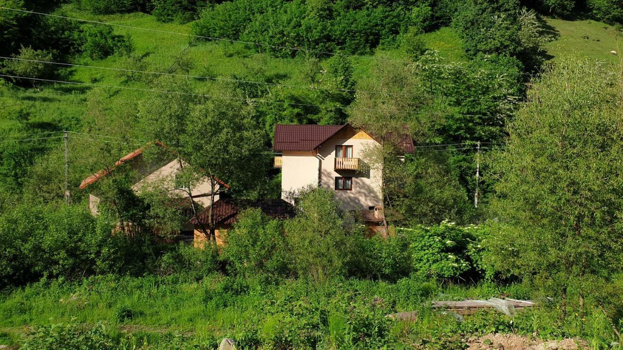 Pensiunea Petru Sugag Exterior photo